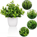 Plastic Potted Plants