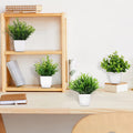 Plastic Potted Plants