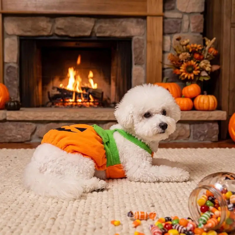 Pet Pumpkin Costume