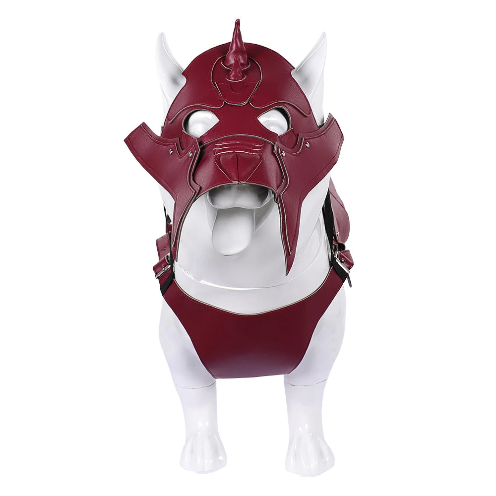 Pet Warrior Costume