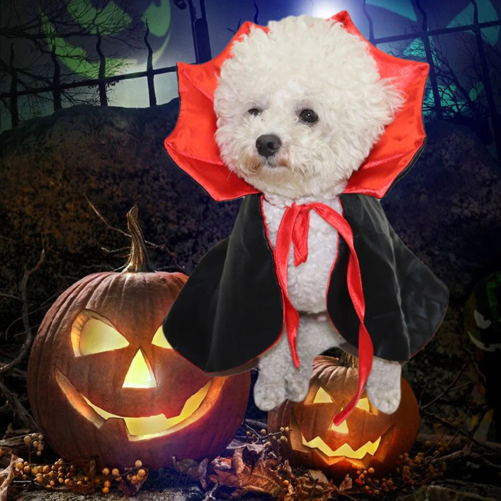 Pet Vampire Cloak