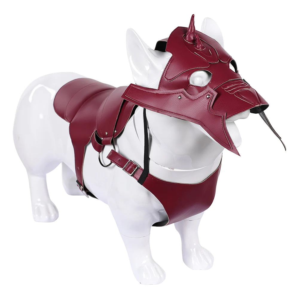 Pet Warrior Costume