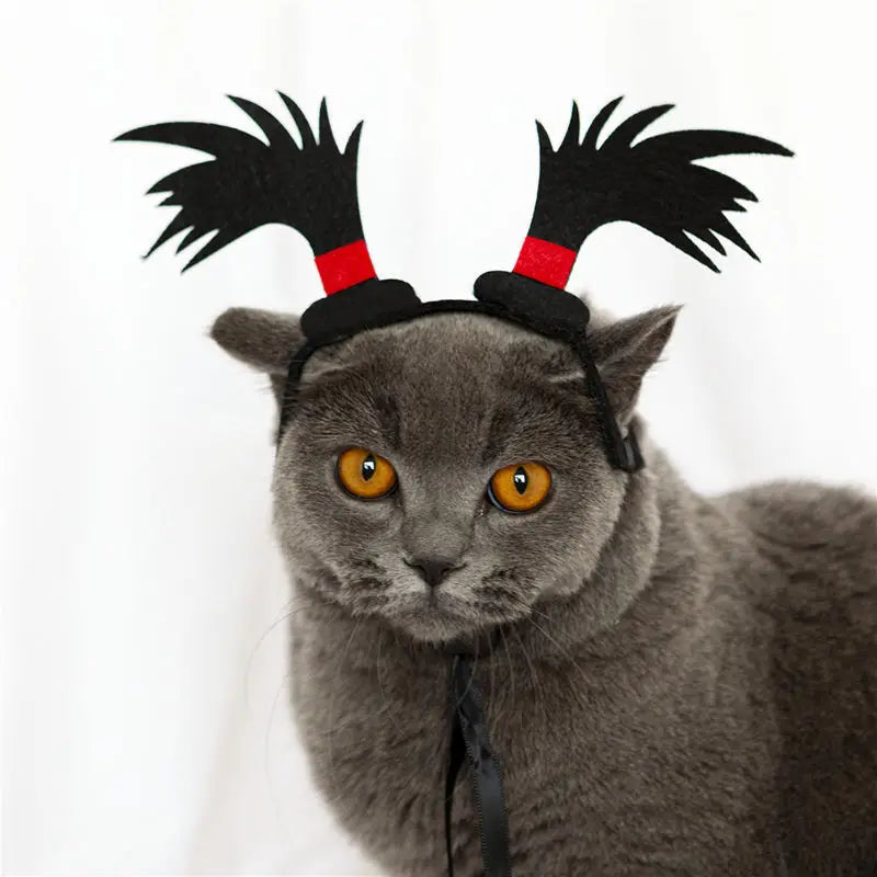 Funny Pet Headband