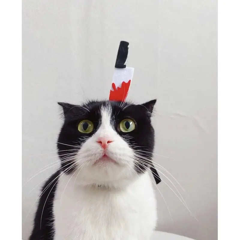 Funny Pet Headband