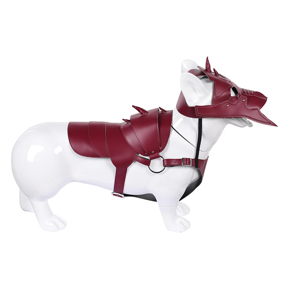 Pet Warrior Costume