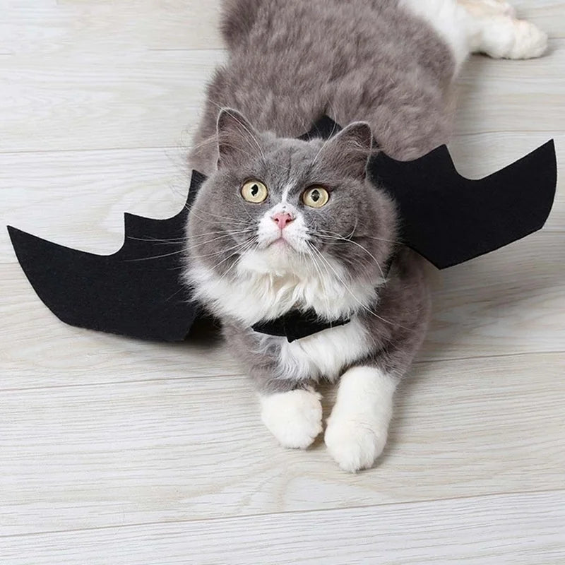 Bat Wings for Pets