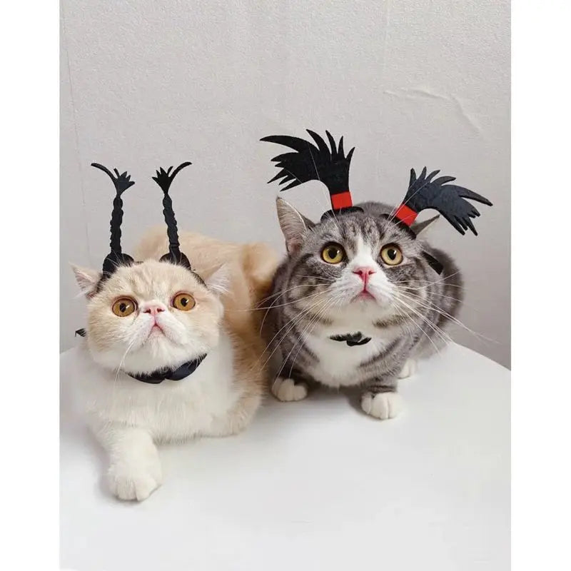 Funny Pet Headband