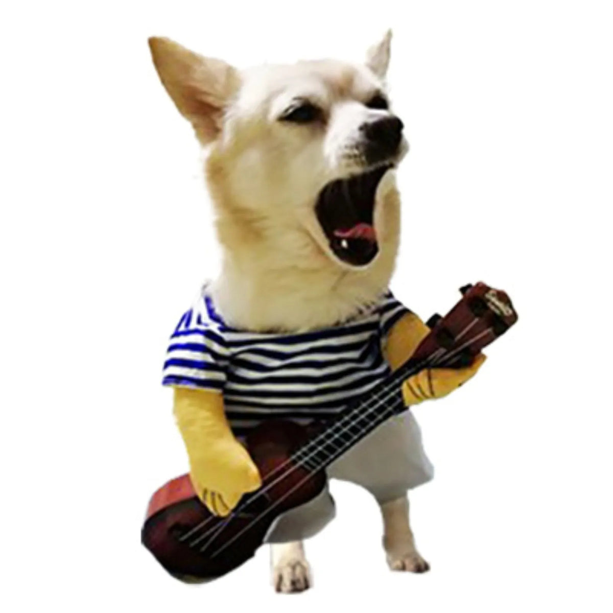 Pet Guitarist Costume
