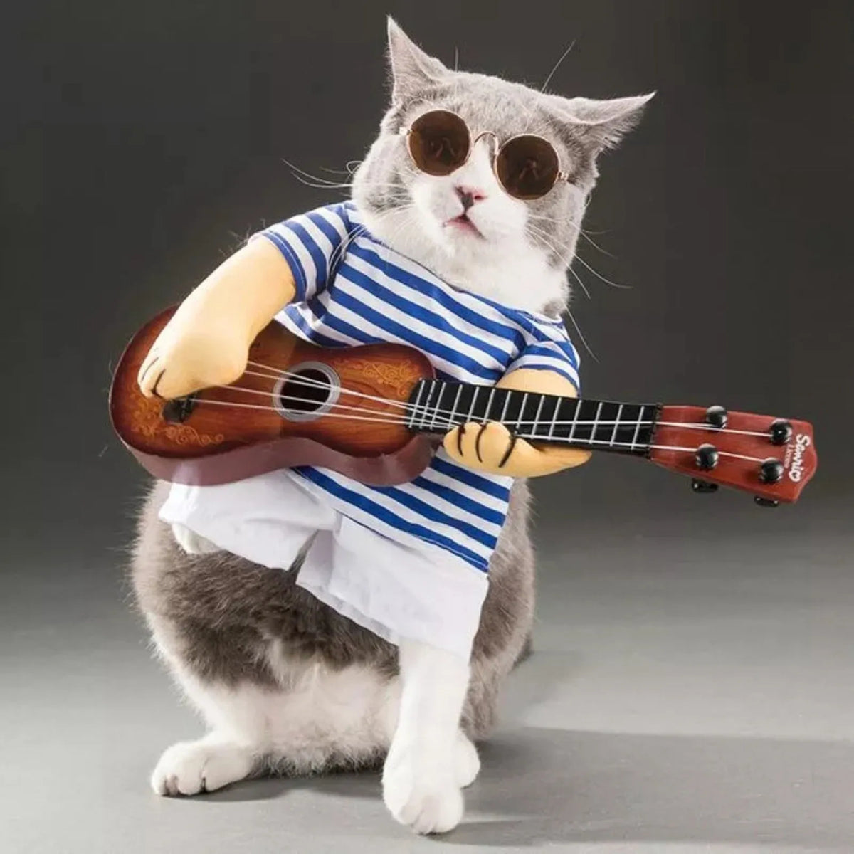 Pet Guitarist Costume