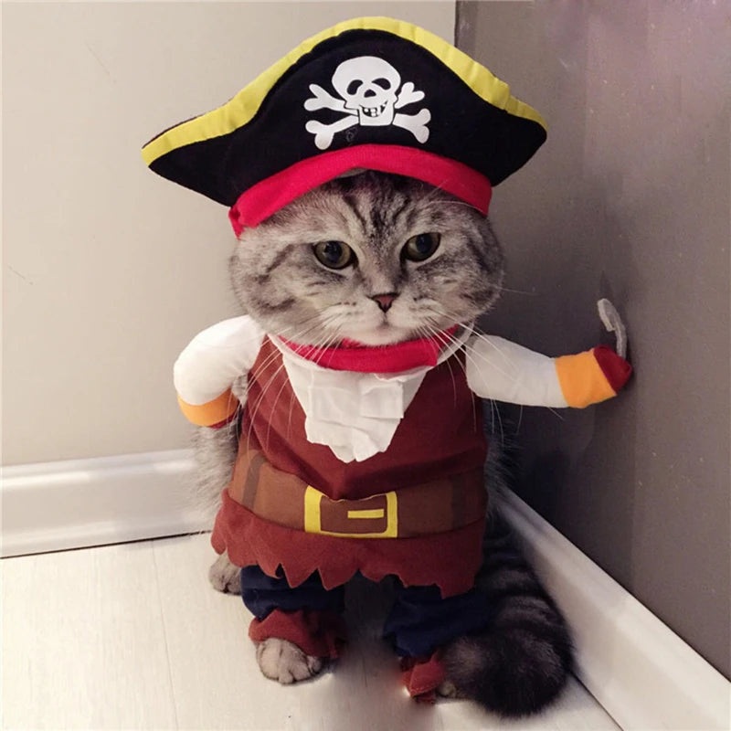 Pet Pirate Costume