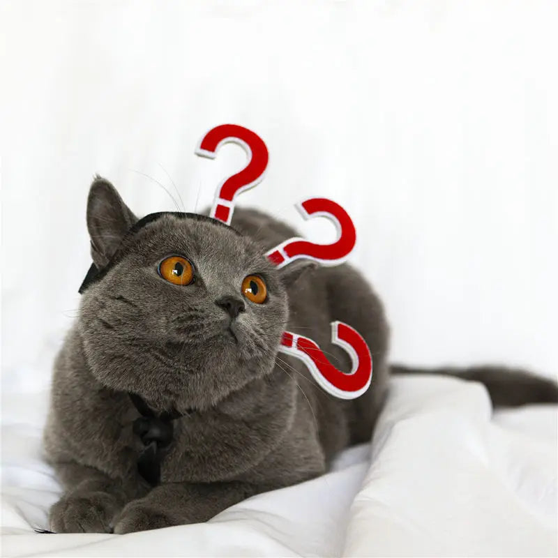 Funny Pet Headband
