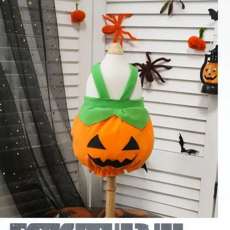 Pet Pumpkin Costume