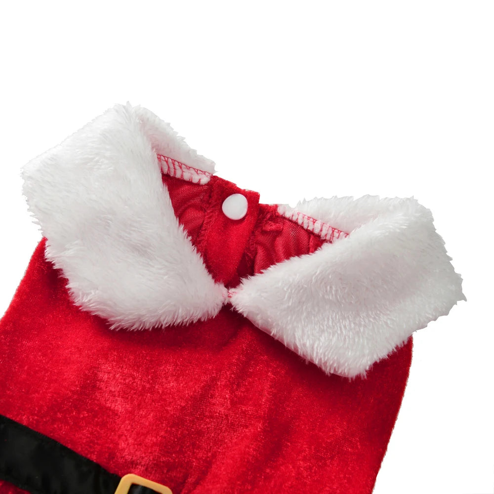 Pet Santa Skirt Costume