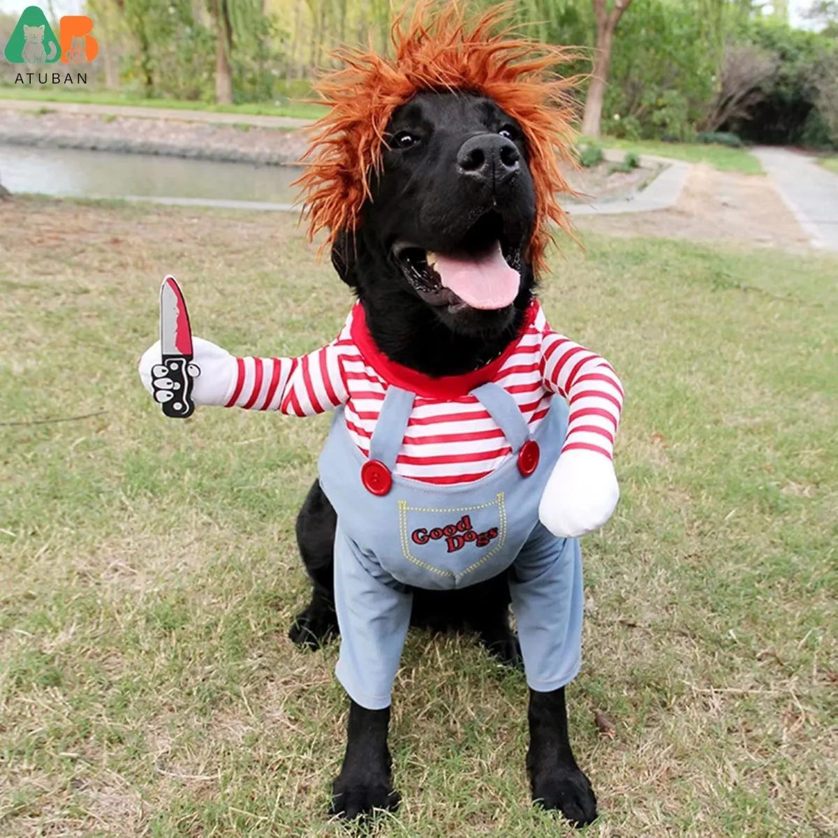 Pet Horror Movie Costume