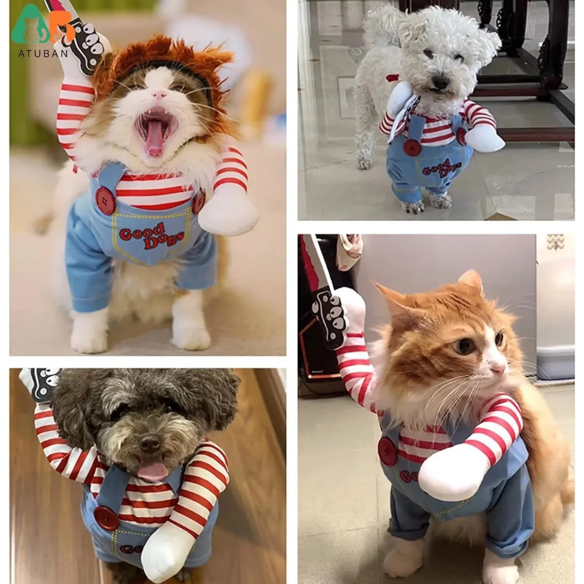 Pet Horror Movie Costume