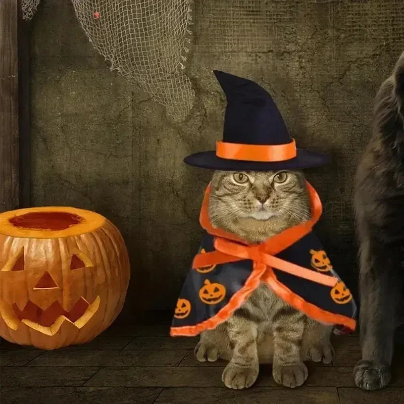 Pet Witch Costume