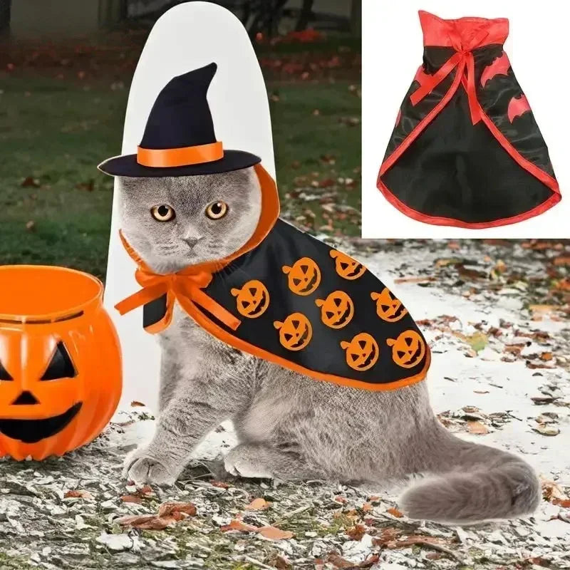Pet Witch Costume