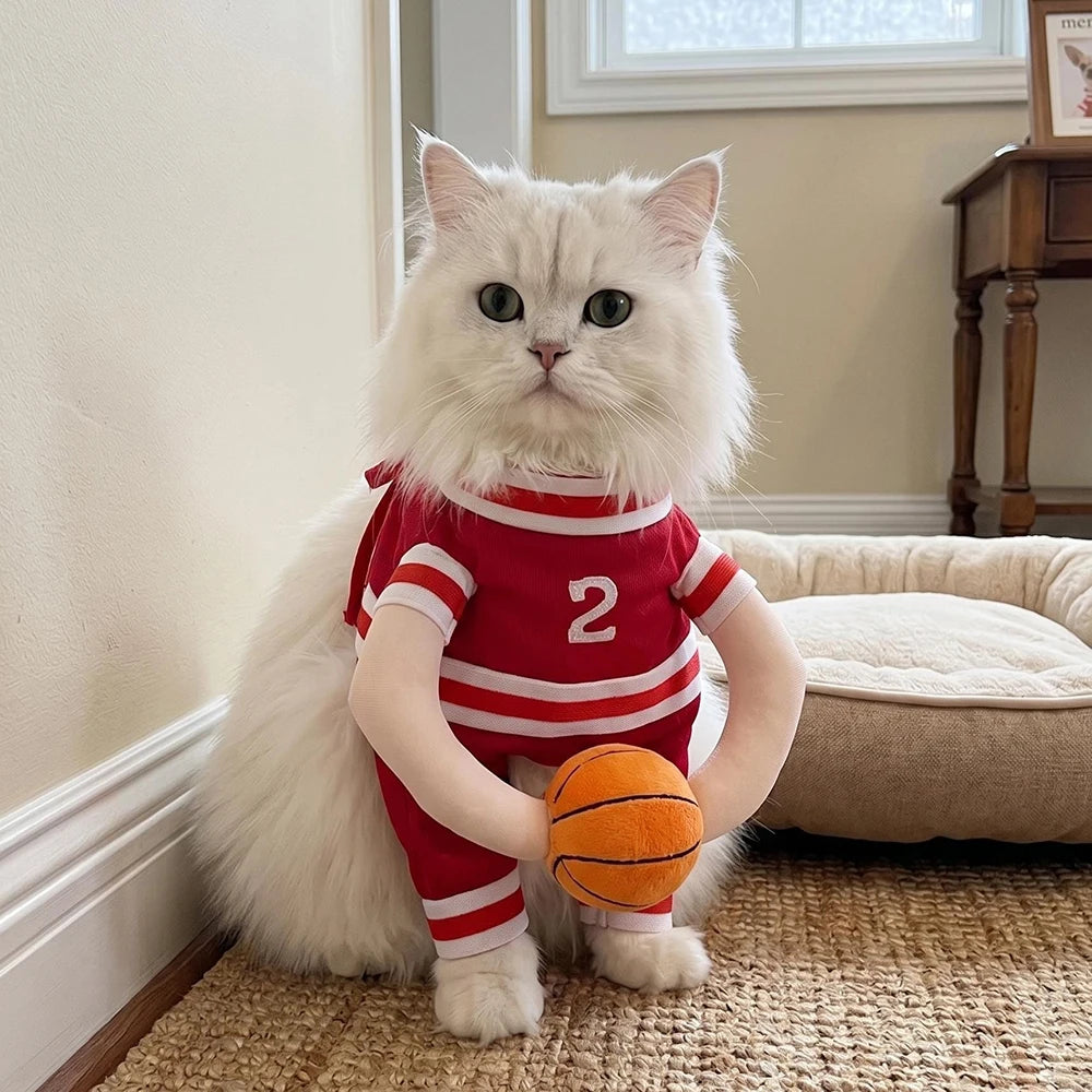 Pet Basketball Costume