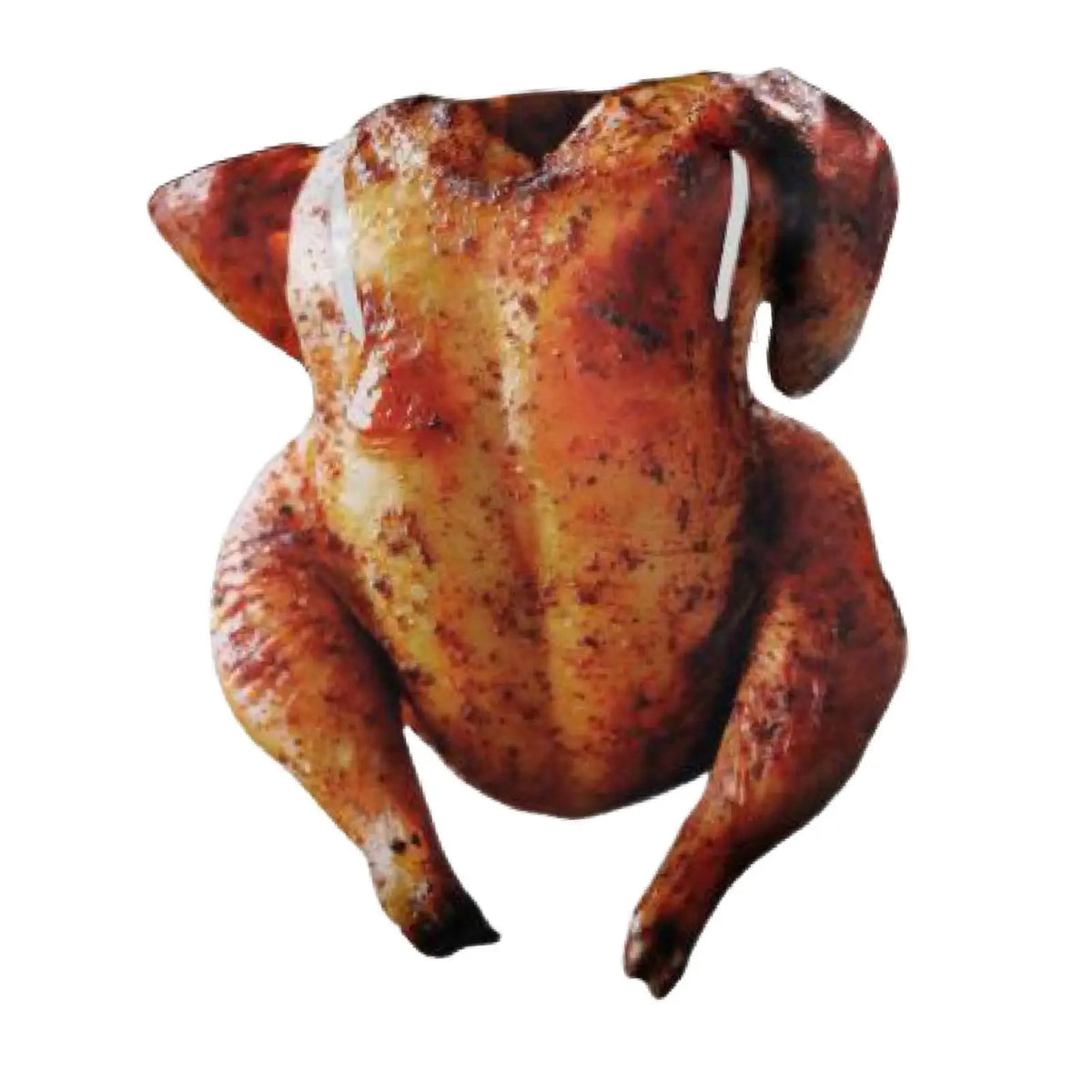 Roast Turkey Costume