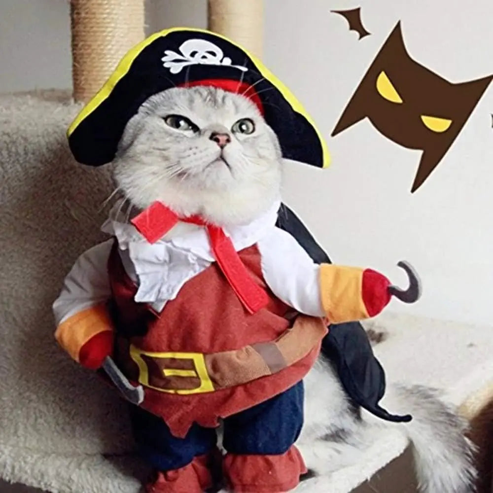 Pet Pirate Costume