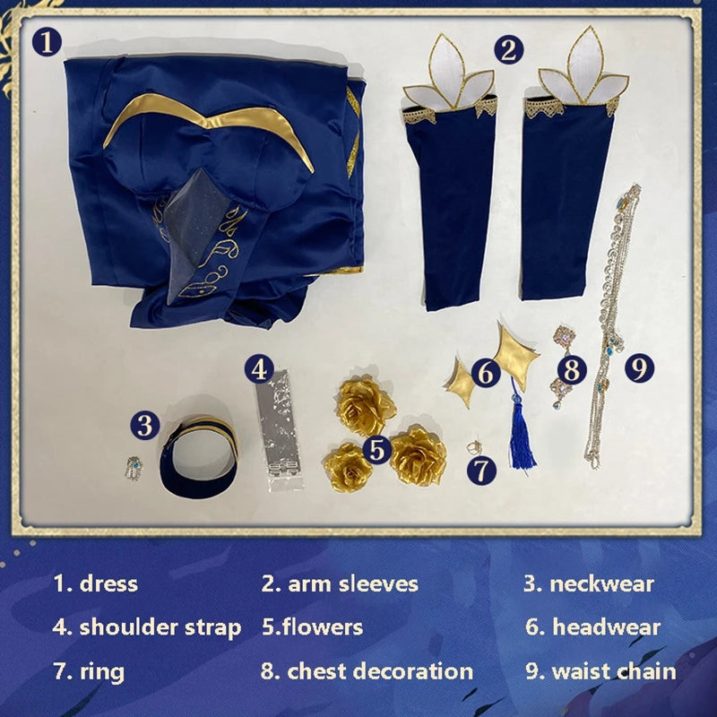 Anime Cosplay Gown Costume