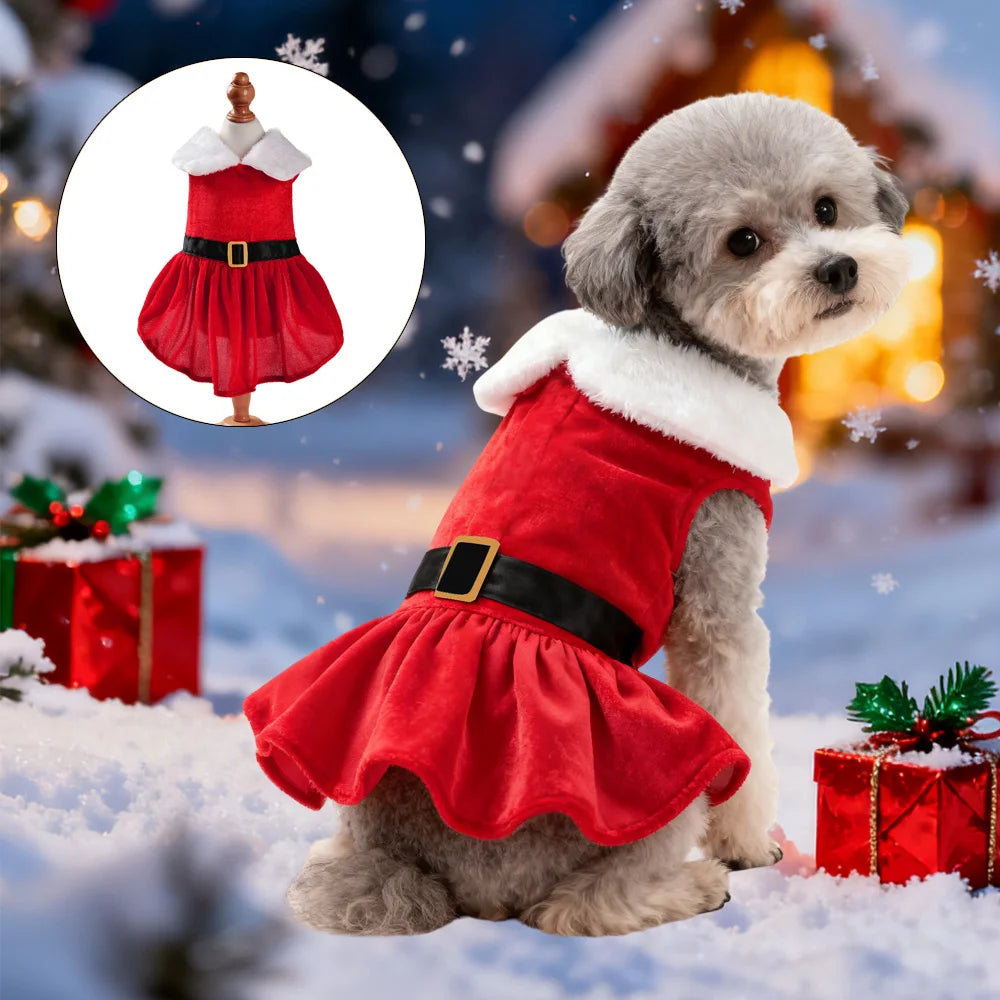 Pet Santa Skirt Costume