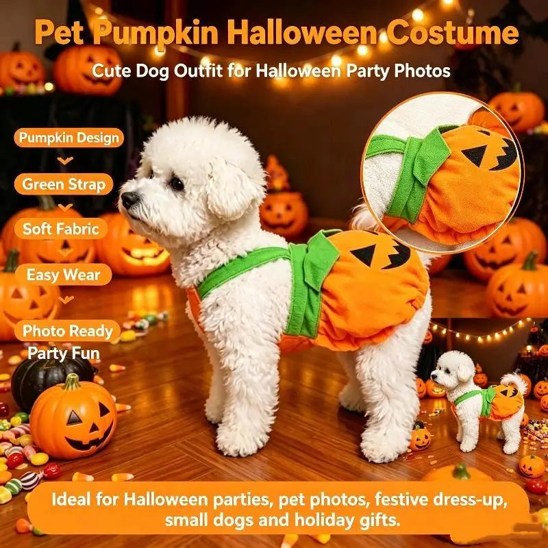 Pet Pumpkin Costume