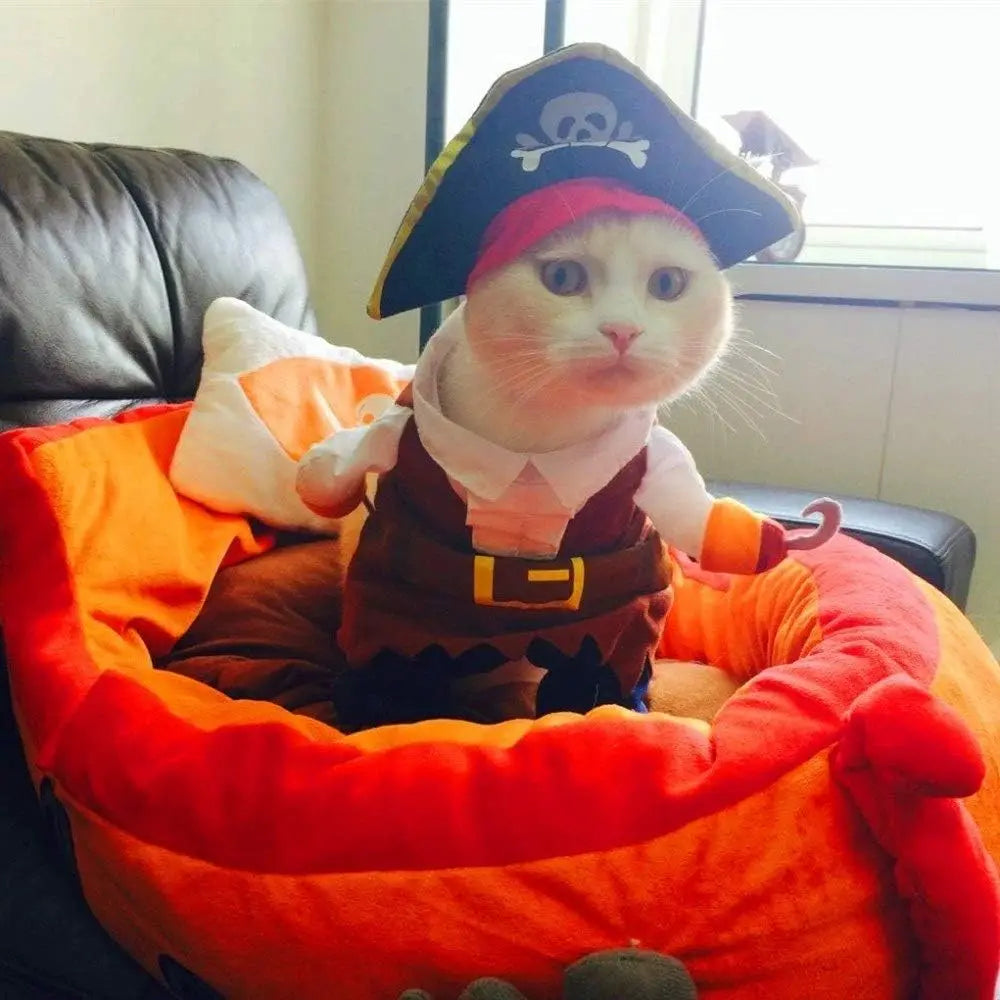 Pet Pirate Costume