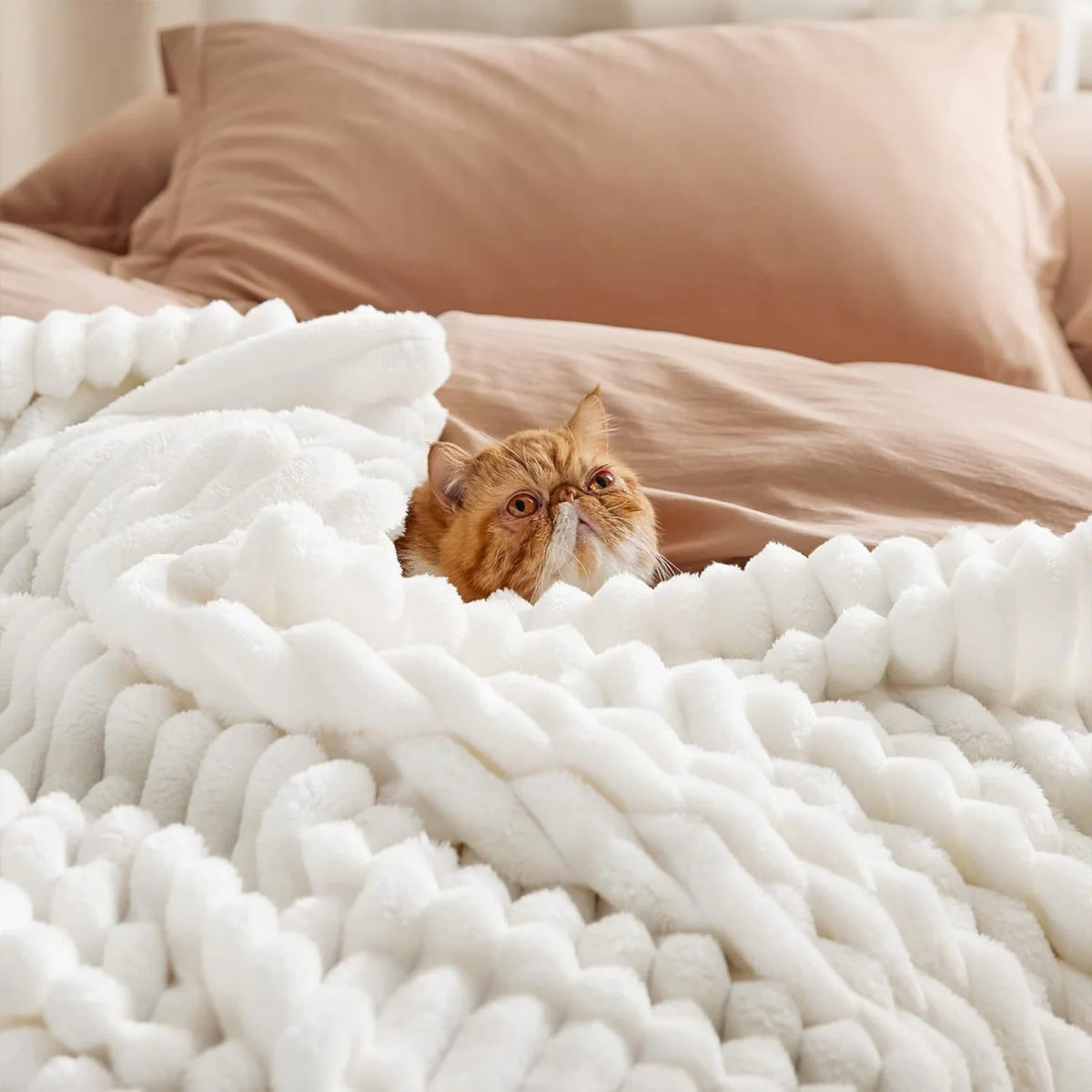 Cozy Blanket