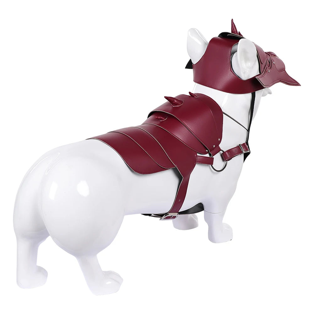 Pet Warrior Costume