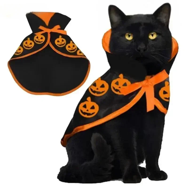 Pet Witch Costume