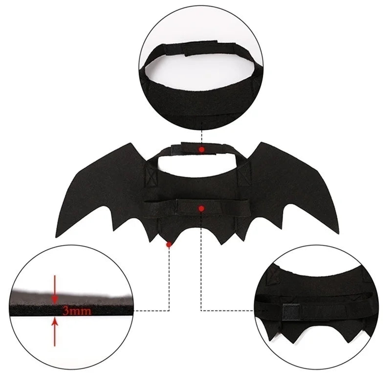Bat Wings for Pets