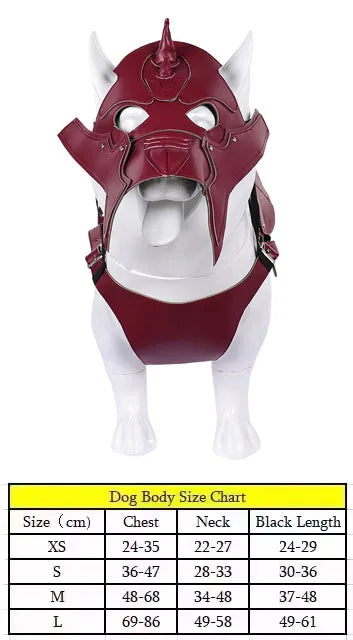 Pet Warrior Costume
