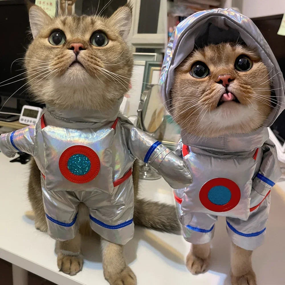Pet Astronaut Costume