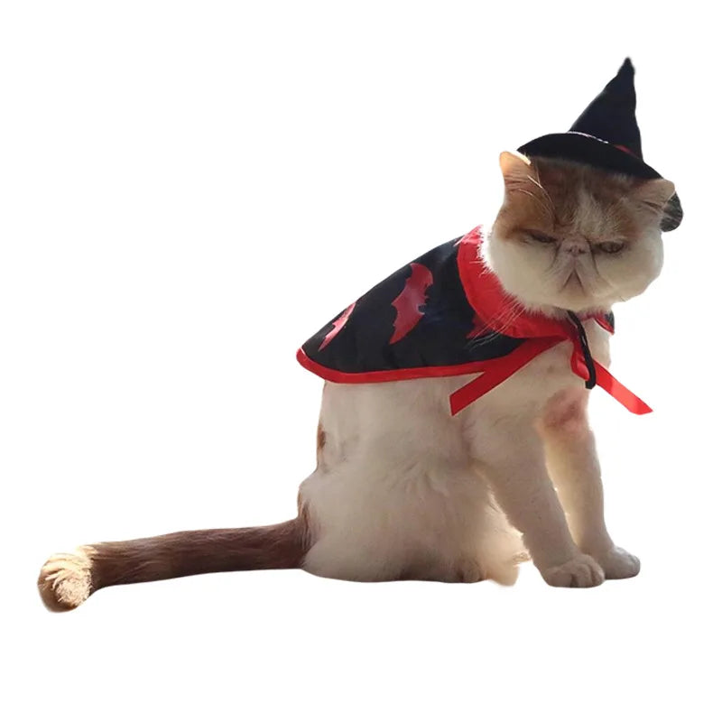 Pet Witch Costume