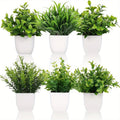 Plastic Potted Plants