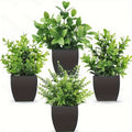 Plastic Potted Plants
