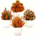 Plastic Potted Plants